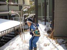 �o�b�t�@�N�g���[�p�\�R���T�|�[�g�H�[�ւ悤����