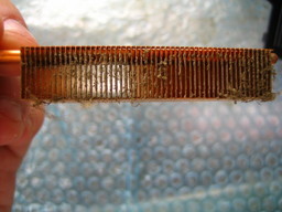 �o�b�t�@�N�g���[�p�\�R���T�|�[�g�H�[�ւ悤����