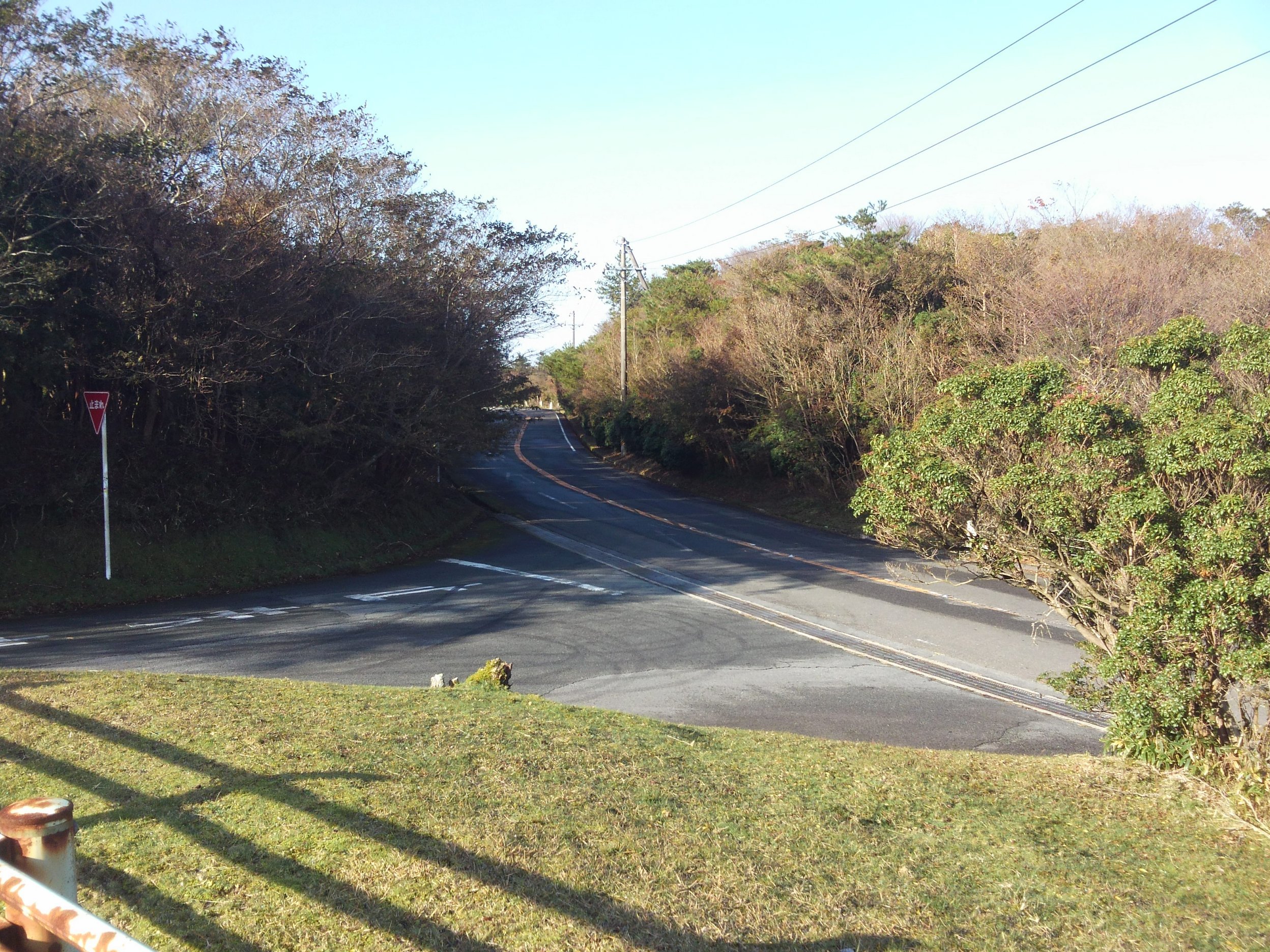 �o�b�t�@�N�g���[�p�\�R���T�|�[�g�H�[�ւ悤����