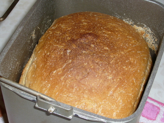 �҂�������L