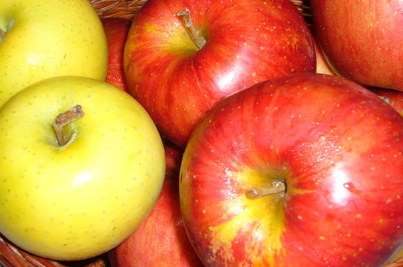 �҂�������L