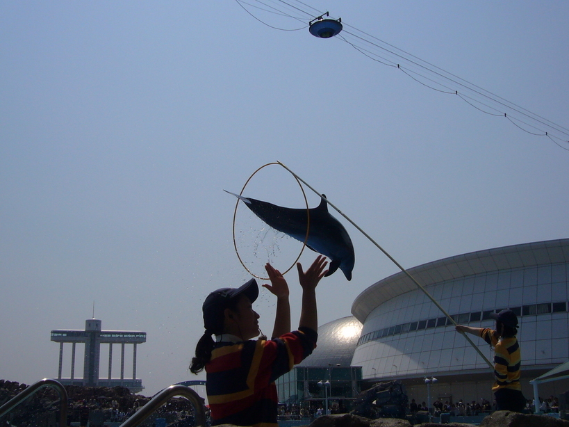 �҂�������L