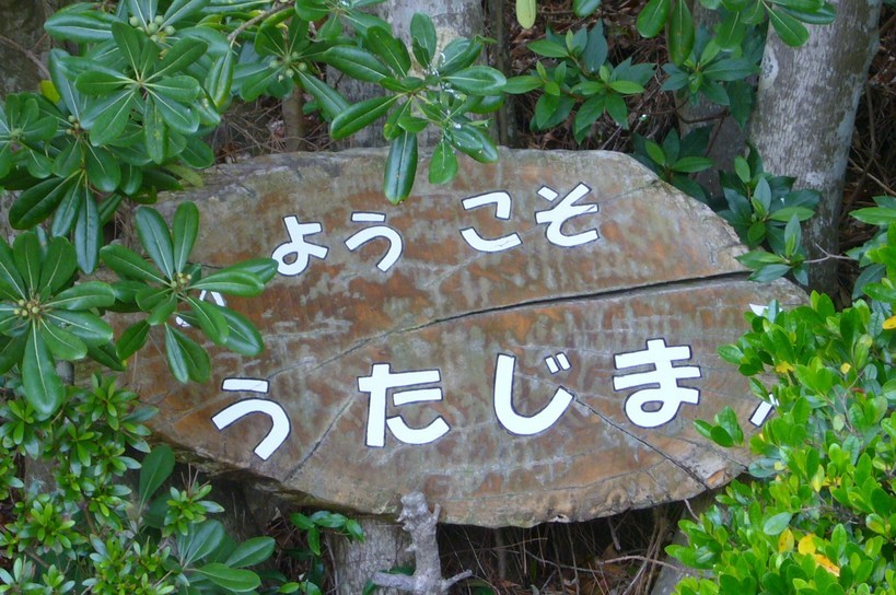 �҂�������L