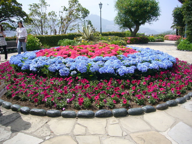 �҂�������L