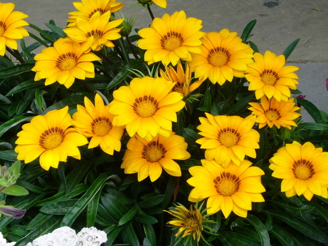 �҂�������L