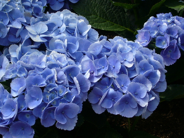 �҂�������L