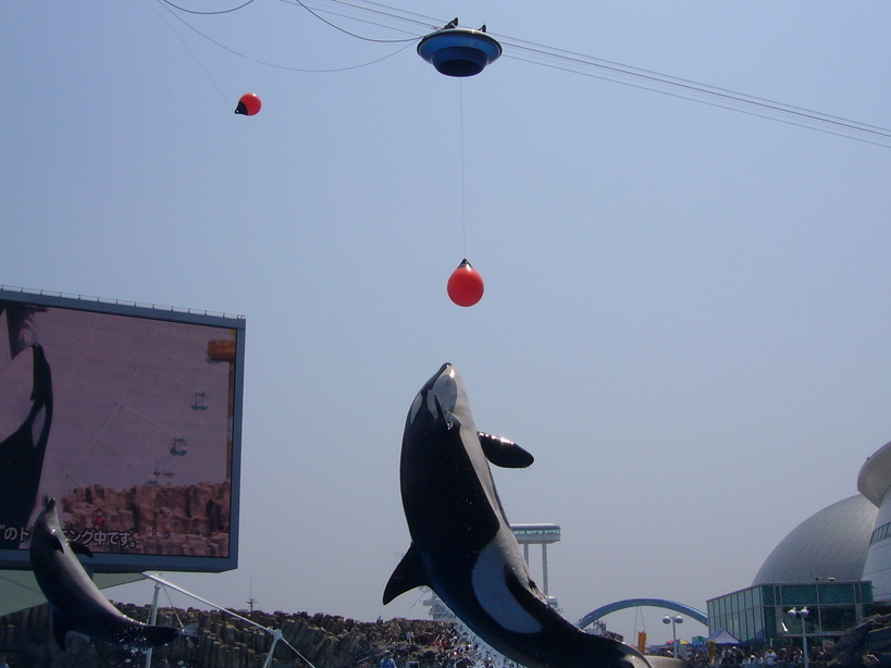 �҂�������L