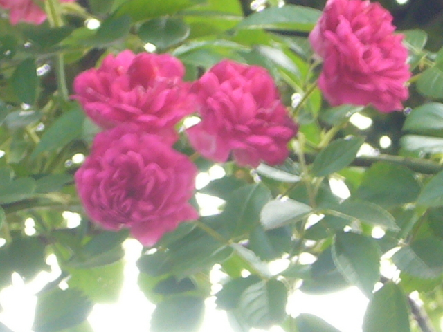 �҂�������L