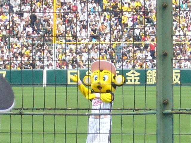 �҂�������L