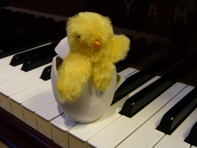 �҂�������L