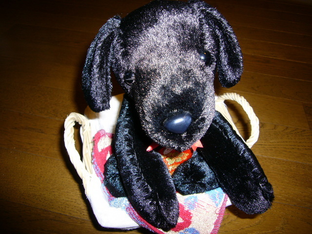 �҂�������L