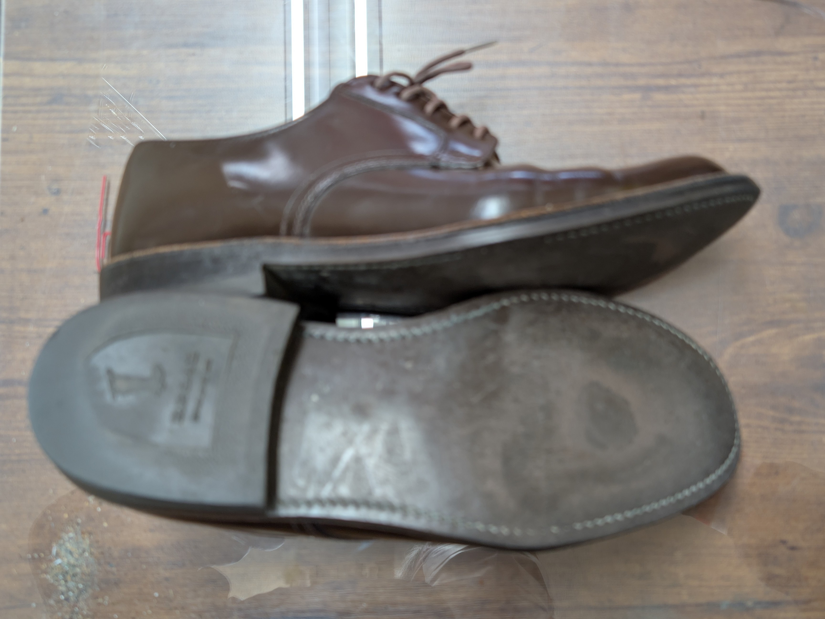 REGAL�i�����쐬���C�E���C�� PLAYBACK�j