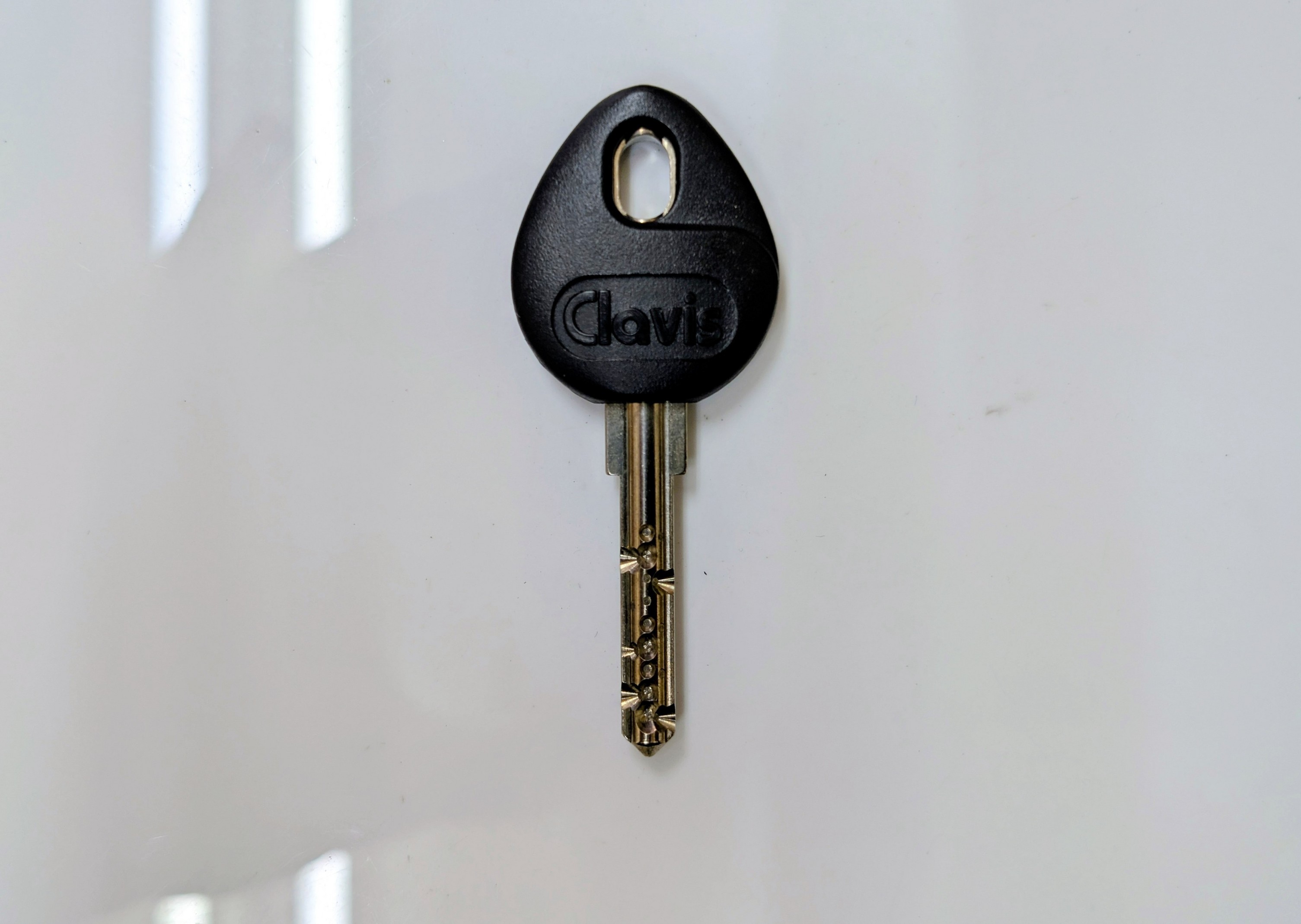 ���ꌮ�쐬�i�����쐬���C�E���C�� PLAYBACK�j