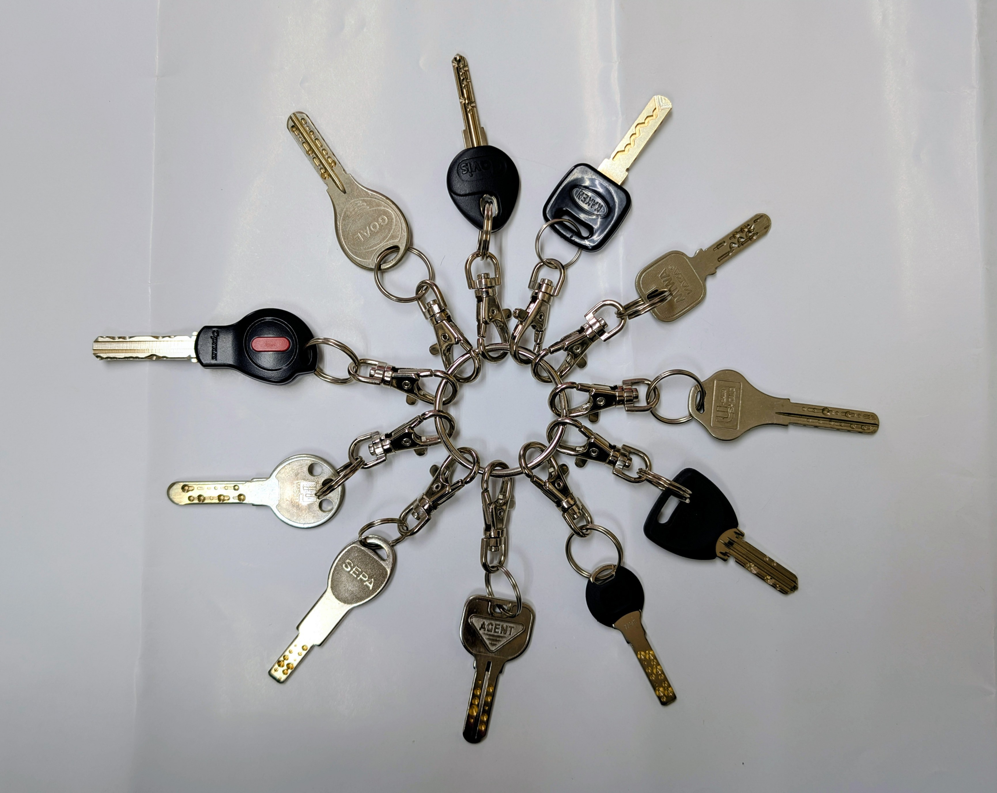 �����쐬�i�����쐬���C�E���C�� PLAYBACK�j