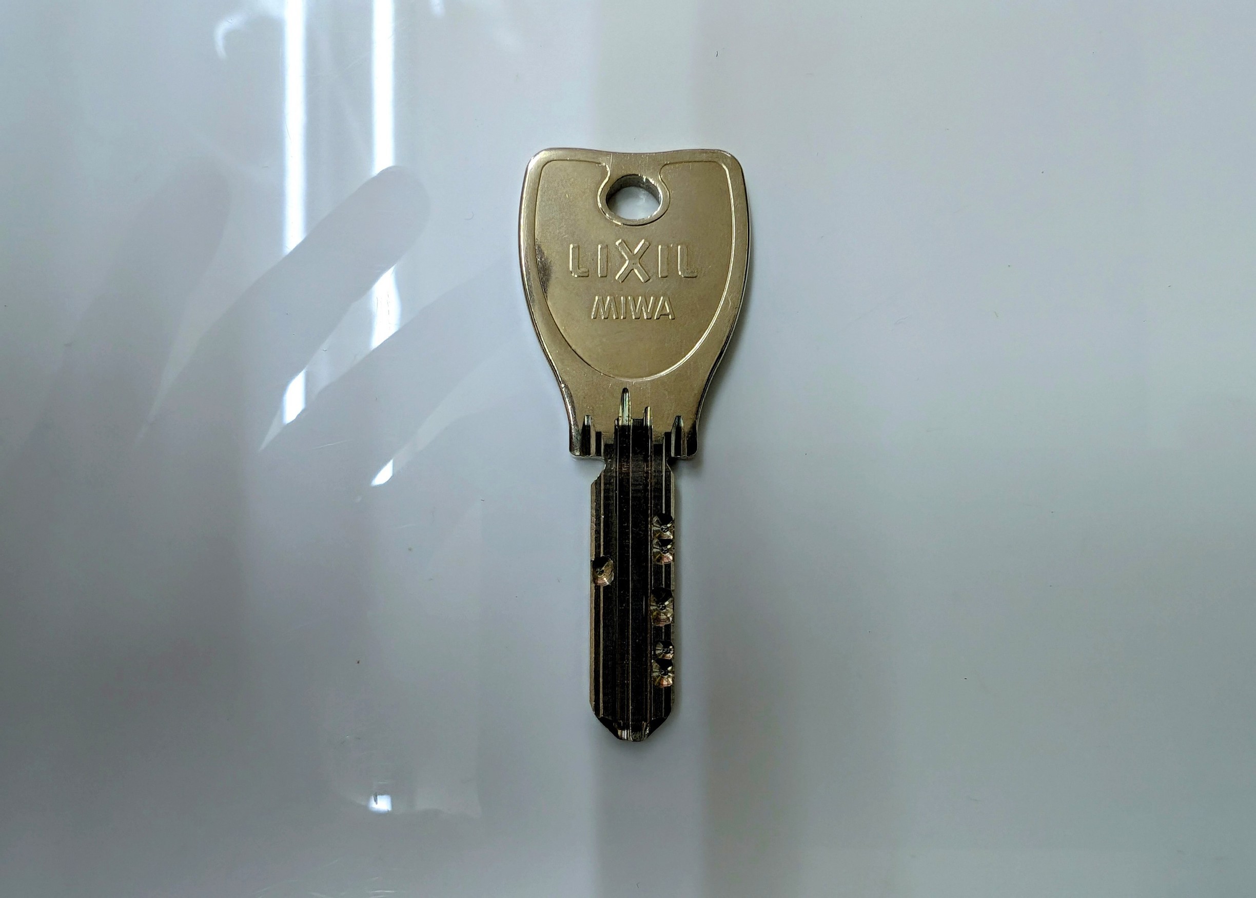 MIWA �f���v���L�[�i�����쐬���C�E���C�� PLAYBACK�j