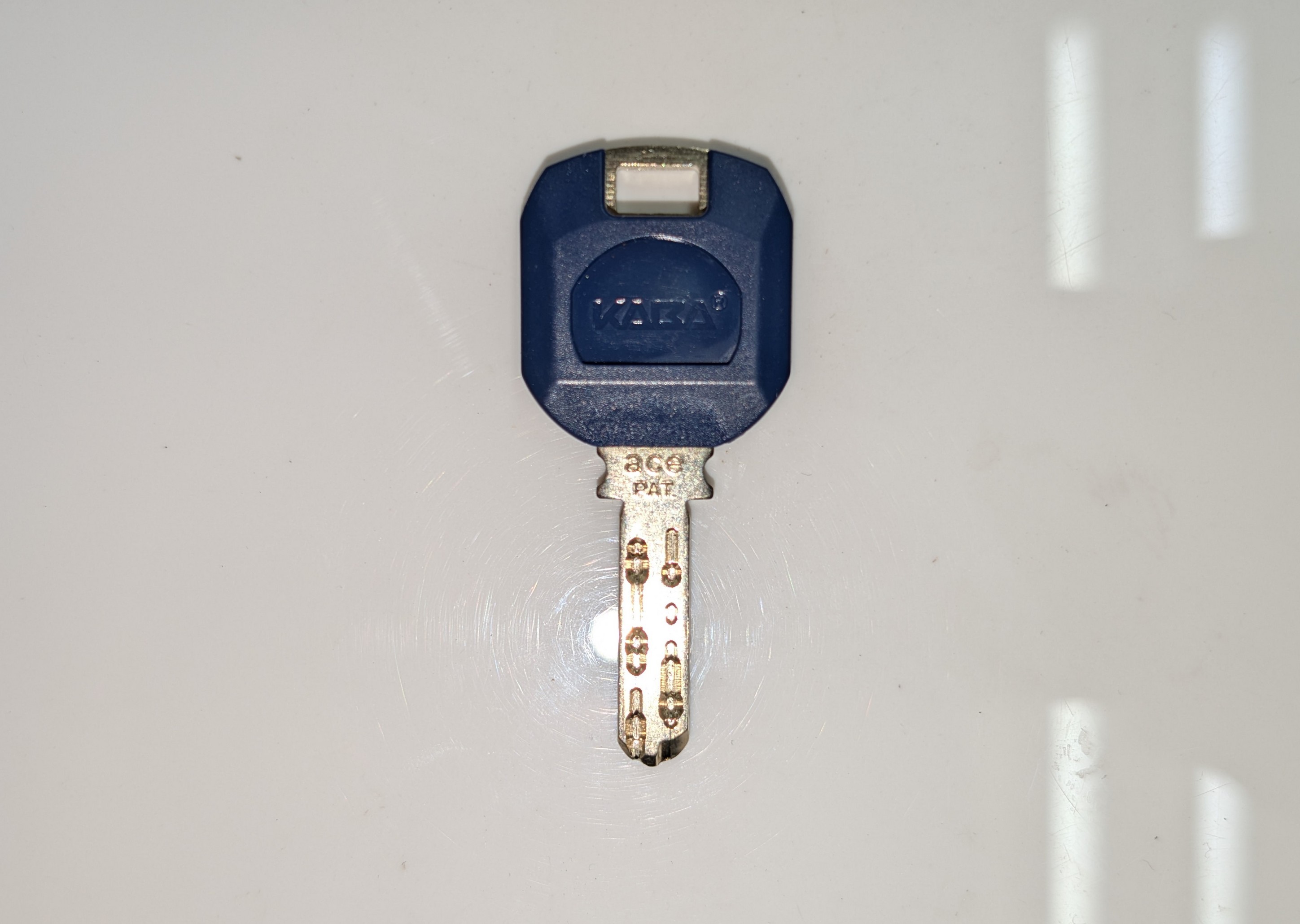 ���ꌮ�i�����쐬���C�E���C�� PLAYBACK�j