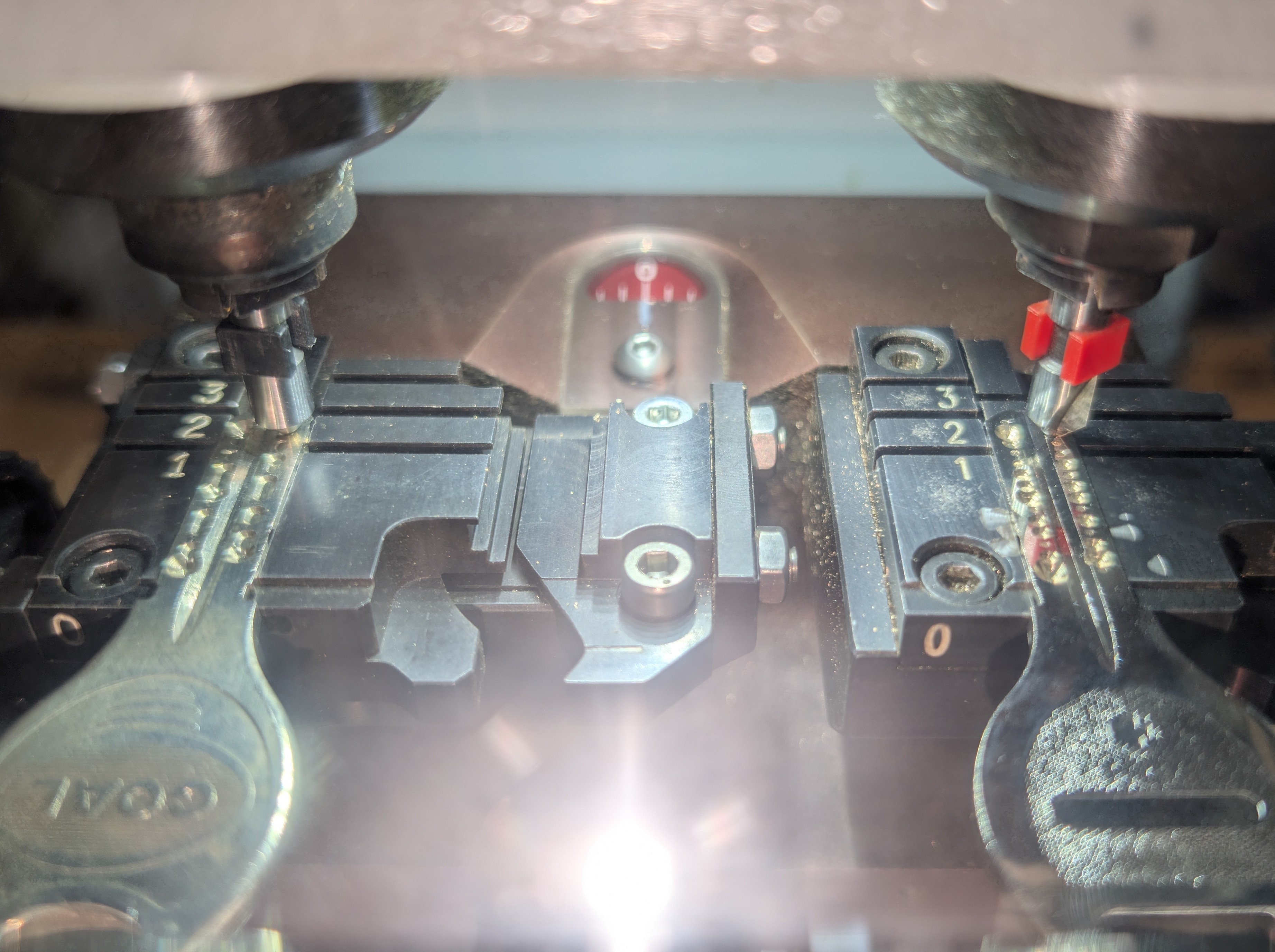 �f�B���v���L�[�i�����쐬���C�E���C�� PLAYBACK�j