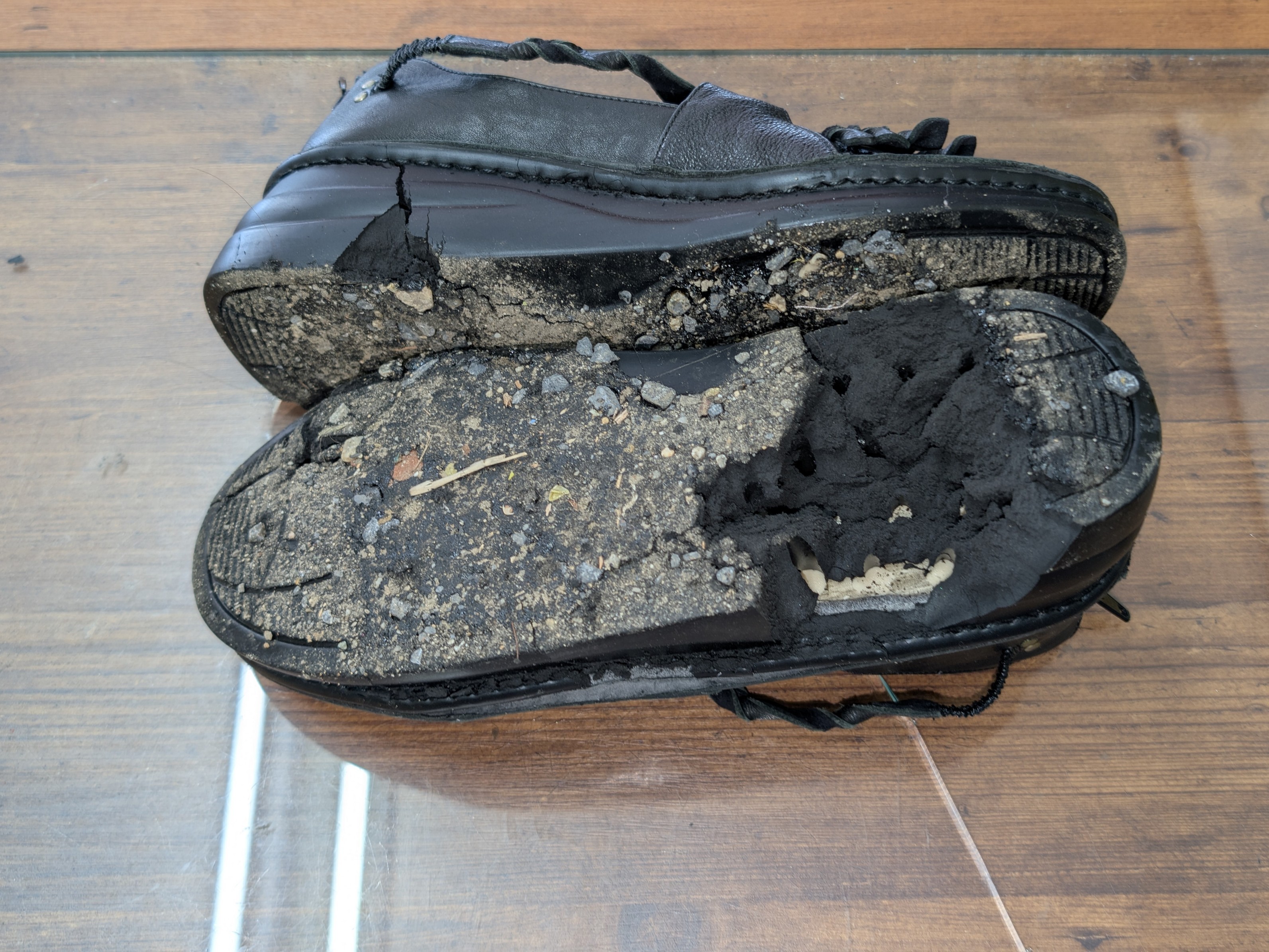 �T���_���i�����쐬���C�E���C�� PLAYBACK�j