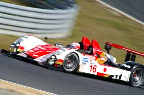 MotorSports�ϐ�L