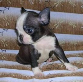 ���׋C�Ȏq��