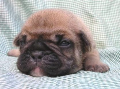 ���׋C�Ȏq��