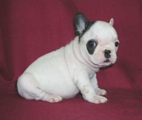 ���׋C�Ȏq��