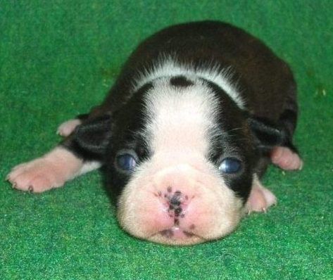 ���׋C�Ȏq��