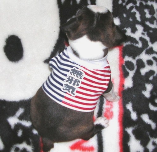 ���׋C�Ȏq��