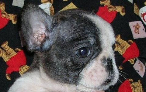 ���׋C�Ȏq��