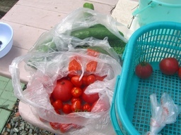 �r�`�l�C���@�k������