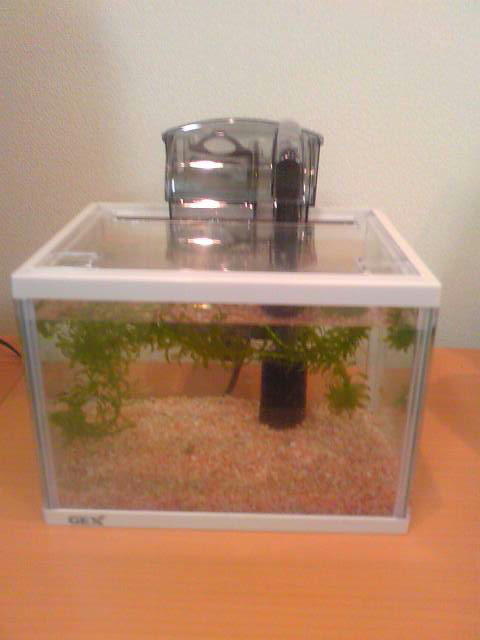 �r�`�l�C���@�k������