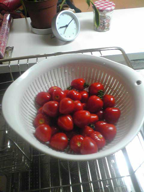 �r�`�l�C���@�k������