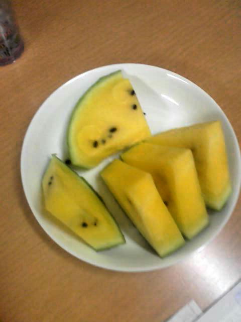 �r�`�l�C���@�k������