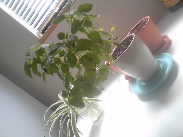 �r�`�l�C���@�k������