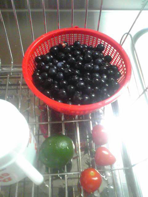 �r�`�l�C���@�k������