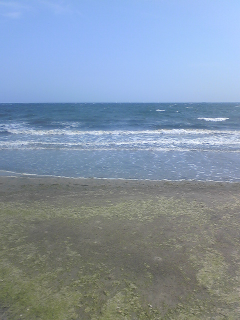 �r�`�l�C���@�k������