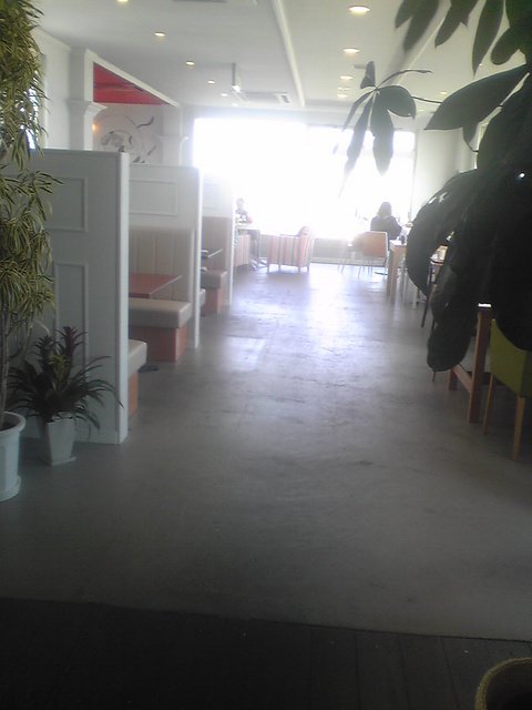 �r�`�l�C���@�k������