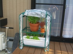 �r�`�l�C���@�k������