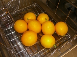 �r�`�l�C���@�k������