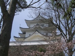 �r�`�l�C���@�k������