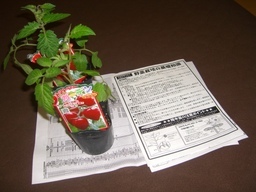 �r�`�l�C���@�k������