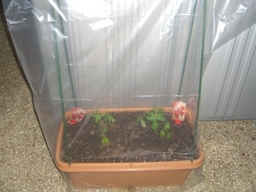 �r�`�l�C���@�k������