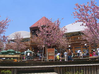 �r�`�l�C���@�k������