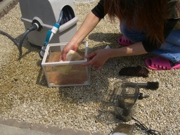 �r�`�l�C���@�k������