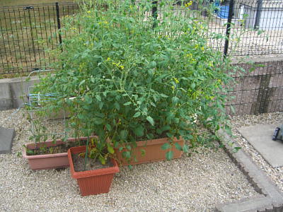 �r�`�l�C���@�k������