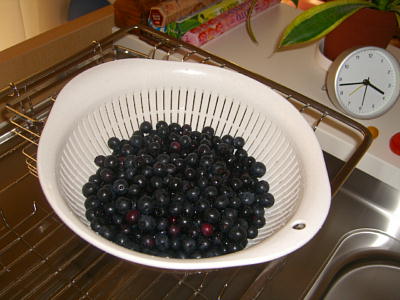 �r�`�l�C���@�k������