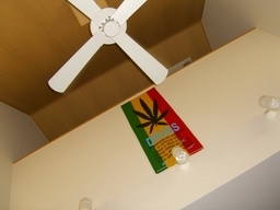 �r�`�l�C���@�k������