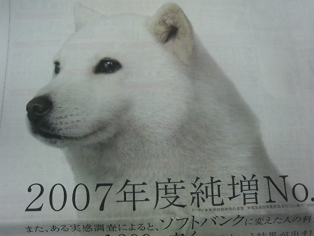 ���ΐF�̓��X