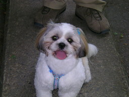 �V�[�Y�[��D���I