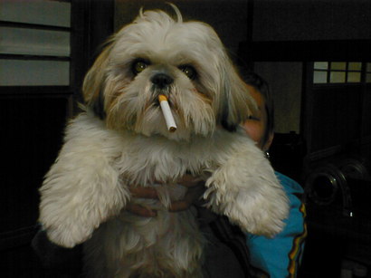 �V�[�Y�[��D���I